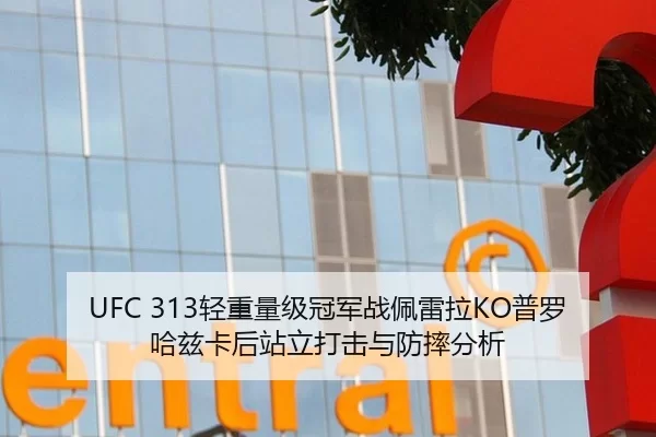 UFC 313轻重量级冠军战佩雷拉KO普罗哈兹卡后站立打击与防摔分析