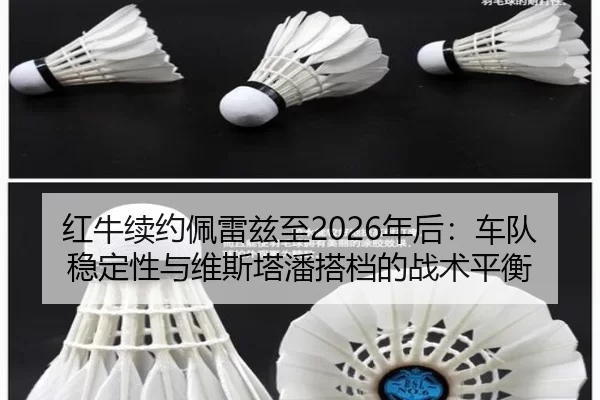 hong-niu-xu-yue-pei-lei-zi-zhi-nian-hou-che-dui-wen-ding-xing-yu-wei-si-ta-pan-da-dang-de-zhan-shu-ping-heng-3-284.jpg