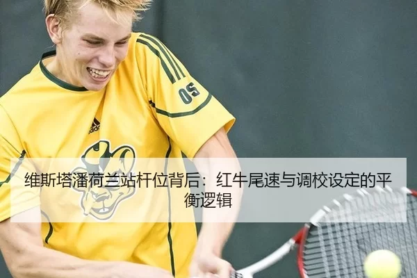 wei-si-ta-pan-he-lan-zhan-gan-wei-bei-hou-hong-niu-wei-su-yu-diao-xiao-she-ding-de-ping-heng-luo-ji-3-239.jpg